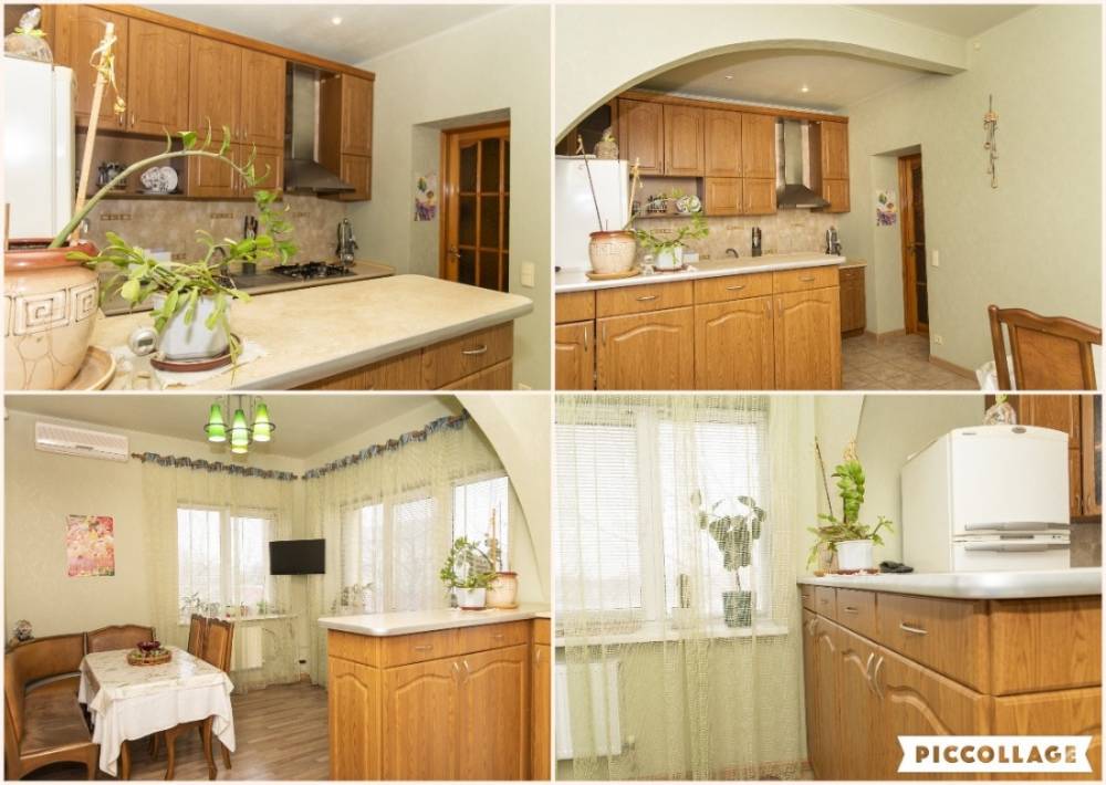 collage 2025-04-16 19_28_54