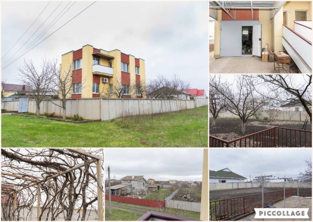 collage 2025-04-16 19_43_16