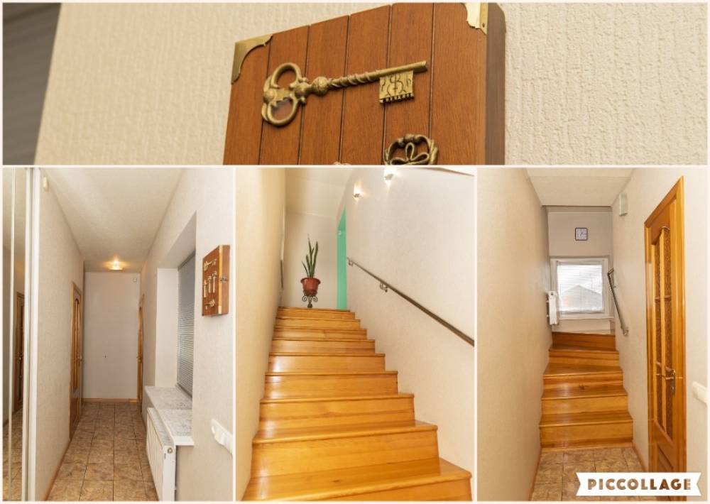 collage 2025-04-16 19_47_28