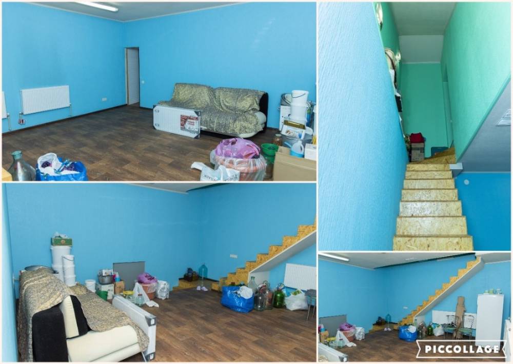 collage 2025-04-16 19_48_20