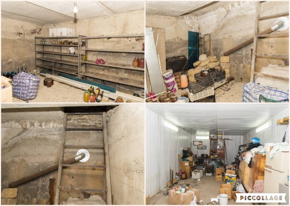 collage 2025-04-16 19_49_20