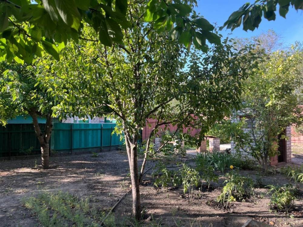 photo_2026-02-15_13-03-31