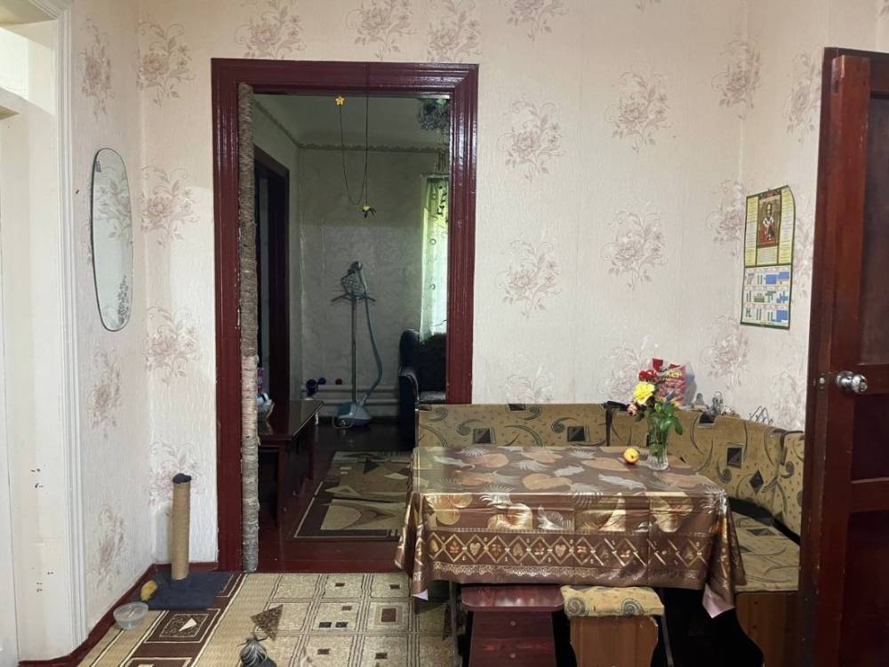 photo_2026-02-15_13-03-40