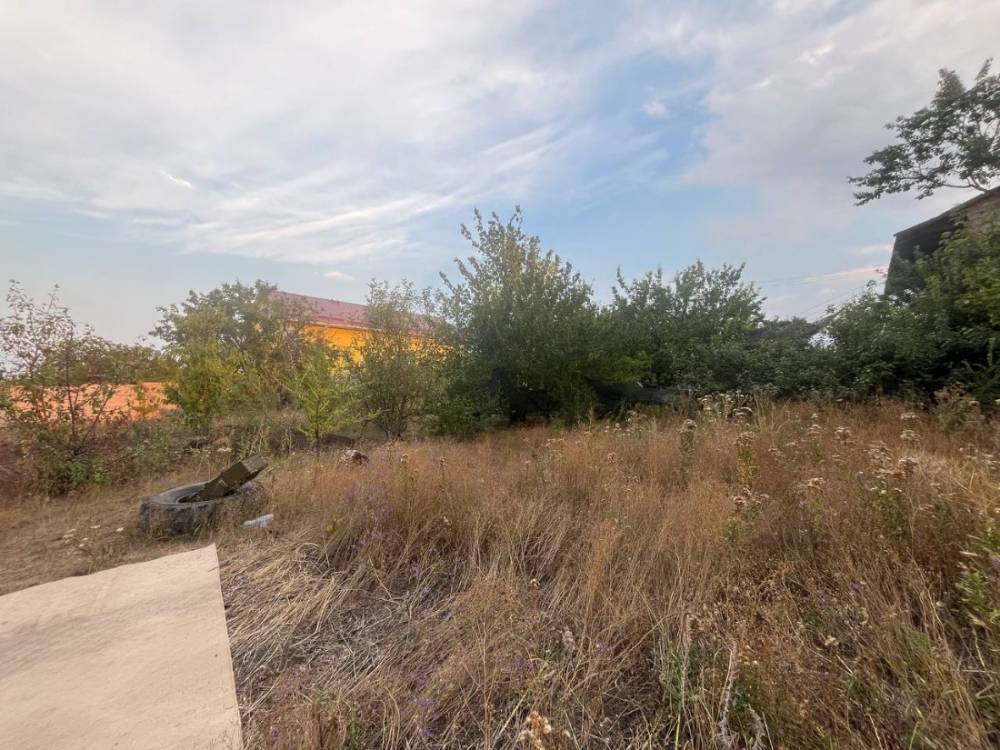 photo_2026-02-17_11-21-13