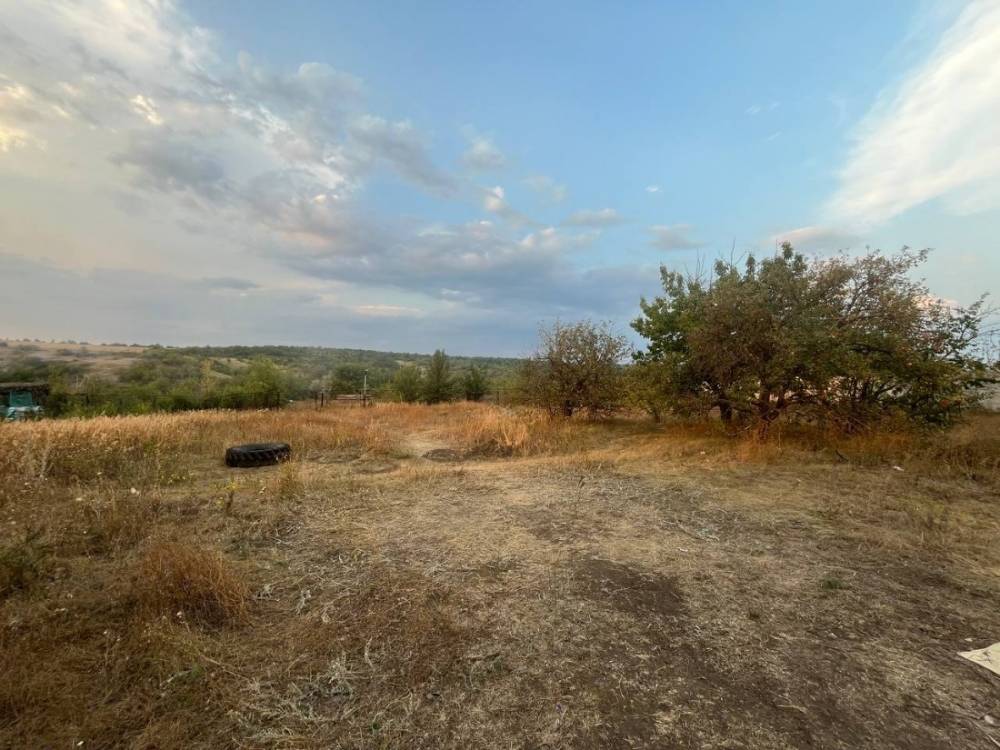 photo_2026-02-17_11-21-24