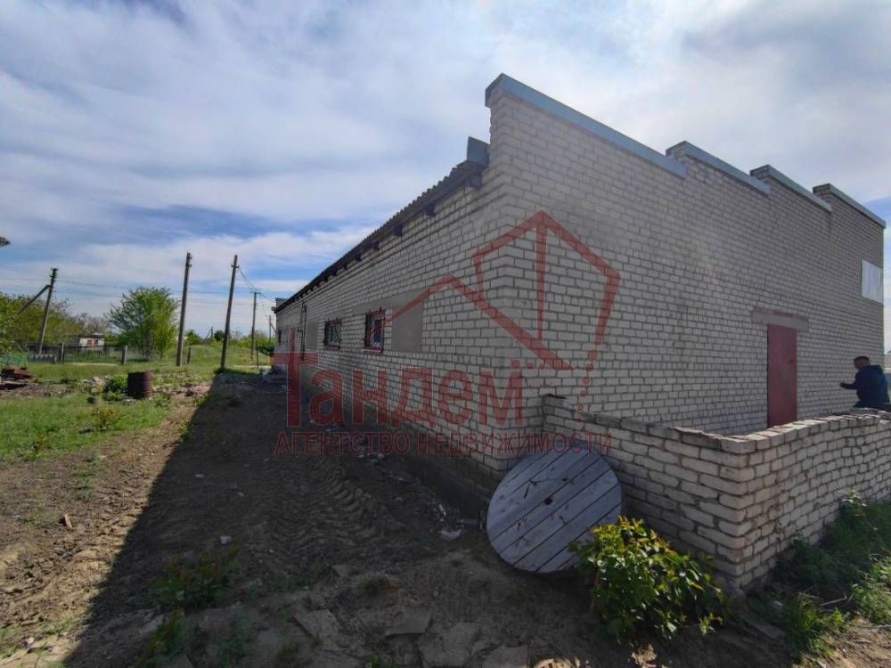 photo_6_2025-08-01_13-18-06