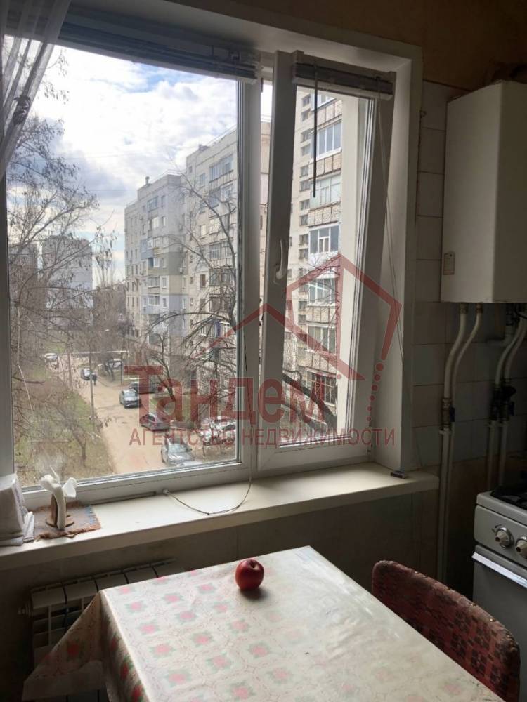 photo_2026-03-25_14-16-09