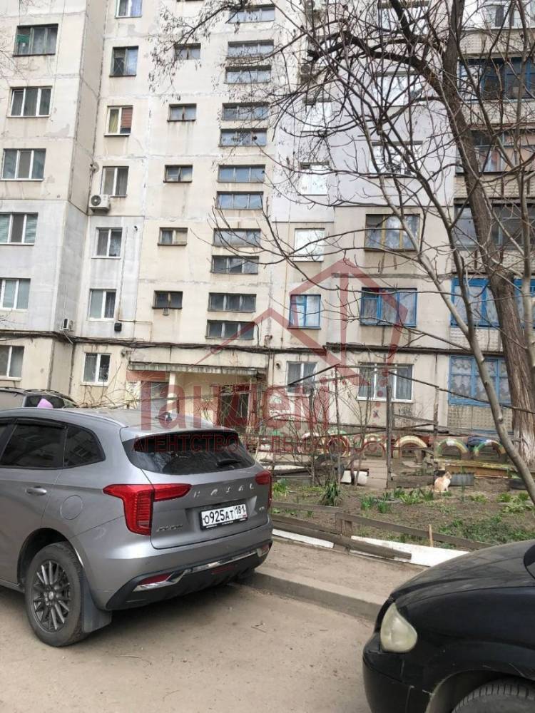 photo_2026-03-25_14-16-13