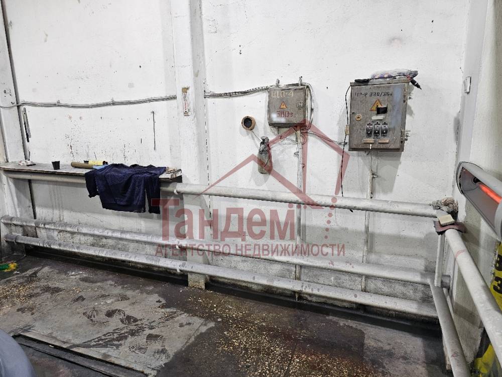 20231112_091927_маляр2