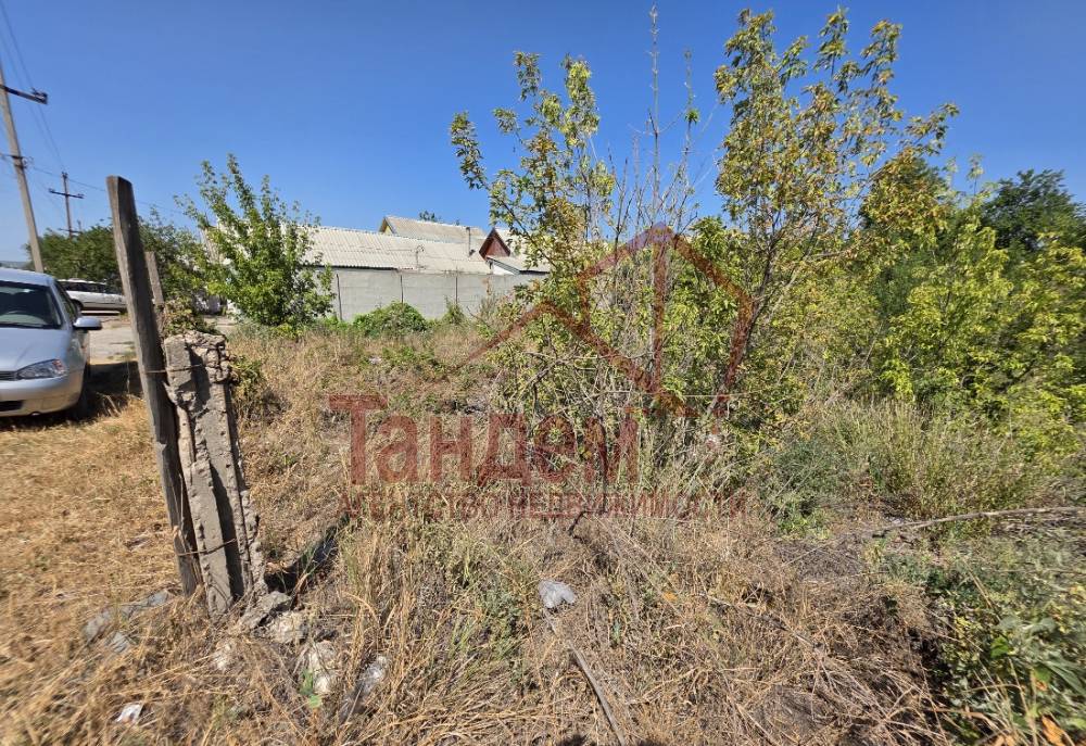 20250730_143911инсп1