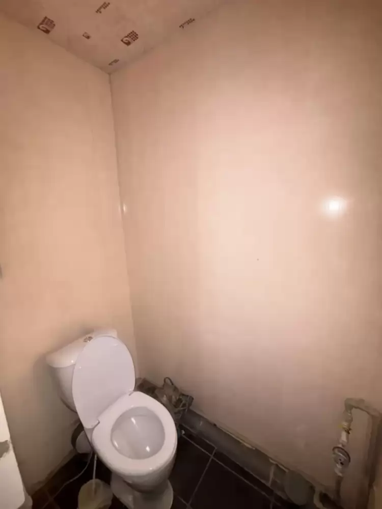 i (11)
